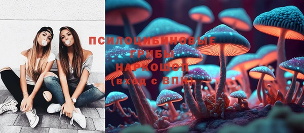 дмт Александровское