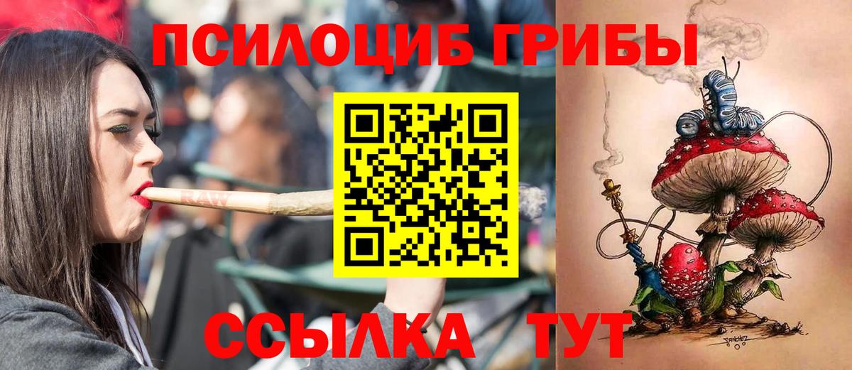 Узловая  Псилоцибиновые грибы мухоморы  Вход с VPN  Галлюциногенные грибы ЛСД 