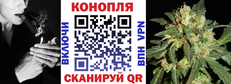 Шишки марихуана семена  кракен как войти  Узловая 